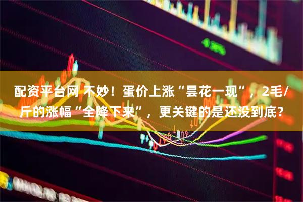 配资平台网 不妙！蛋价上涨“昙花一现”，2毛/斤的涨幅“全降下来”，更关键的是还没到底？