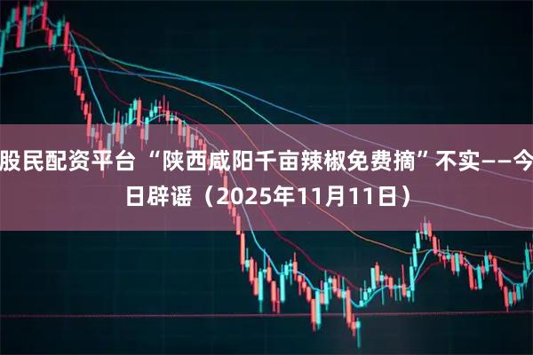 股民配资平台 “陕西咸阳千亩辣椒免费摘”不实——今日辟谣（2025年11月11日）